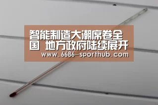 智能制造大潮席卷全国 地方政府陆续展开行动：6686官方网站