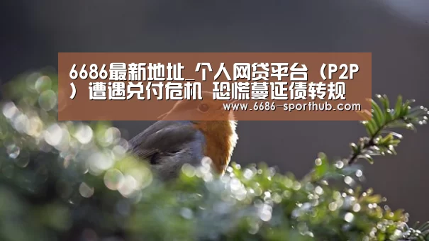 6686最新地址_个人网贷平台(P2P)遭遇兑付危机 恐慌蔓延债转规模骤增(图1) 6686足球竞猜