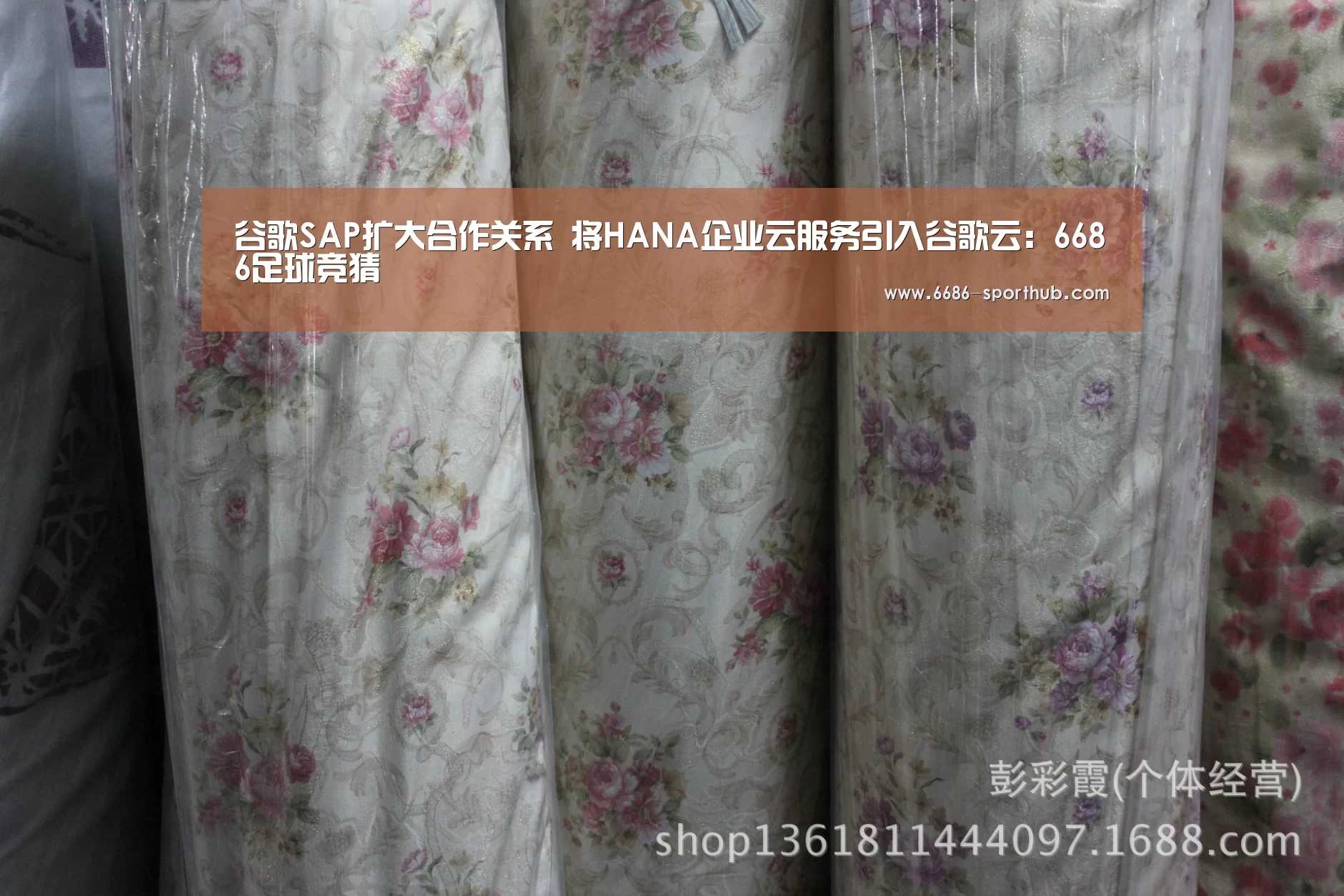 谷歌SAP扩大合作关系 将HANA企业云服务引入谷歌云:6686足球竞猜(图1) 6686赛事直播